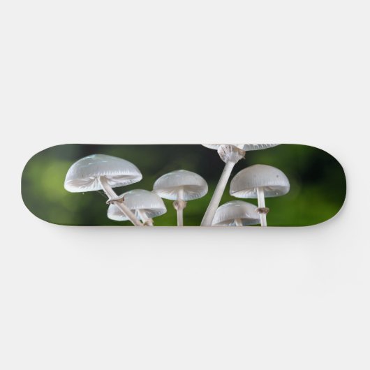 Skateboard Champignons d'automne de l'huître blanche (Horz)