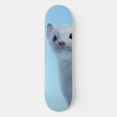 Skateboard Charme de la belette arctique (Recto)