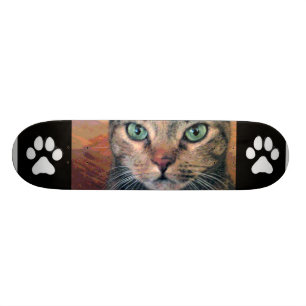 Skateboard Chat avec les yeux verts