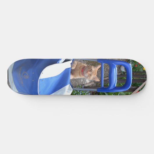 Skateboard Chat Ginger Skboard (Horz)