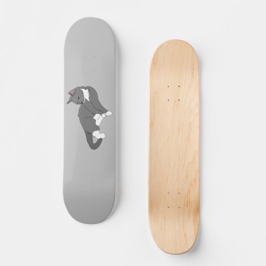 Skateboard Chat gris et blanc Tuxedo (Recto)