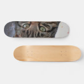 Skateboard Chat spatial (Horz)