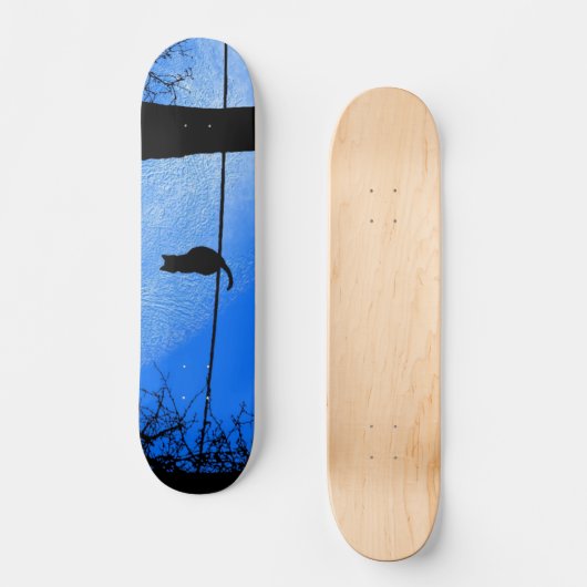 Skateboard Chat sur une lune bleue fil (Recto)