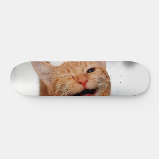 Skateboard Chat tabby mignon pleurant d'un oeil (Horz)