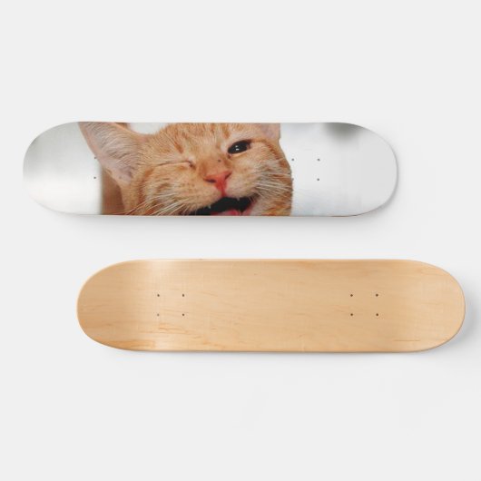 Skateboard Chat tabby mignon pleurant d'un oeil (Horz)