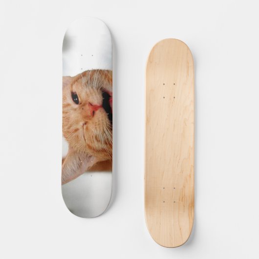 Skateboard Chat tabby mignon pleurant d'un oeil (Recto)
