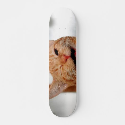 Skateboard Chat tabby mignon pleurant d'un oeil (Devant)
