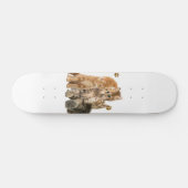 Skateboard Chats (Horz)