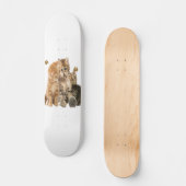 Skateboard Chats (Recto)