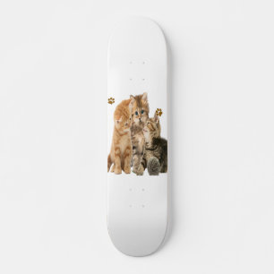 Skateboard Chats