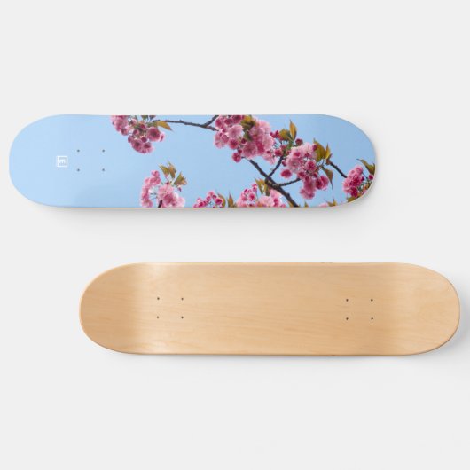 Skateboard Cherry Blossom par Evlear (Horz)