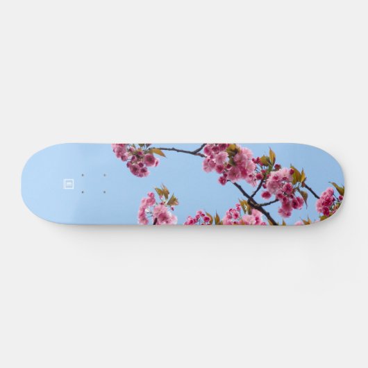 Skateboard Cherry Blossom par Evlear (Horz)