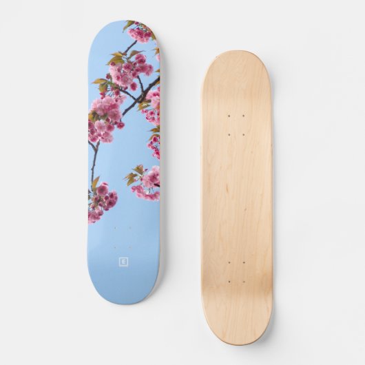 Skateboard Cherry Blossom par Evlear (Recto)