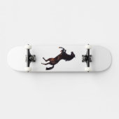 Skateboard Cheval (Horz)