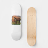 Skateboard Cheval et poney (Recto)