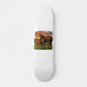 Skateboard Cheval et poney