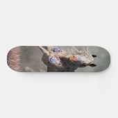 Skateboard Cheval guerrier Appaloosa (Horz)