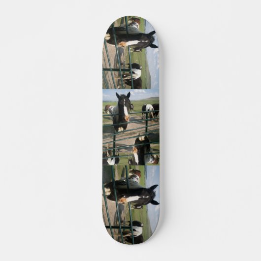 Skateboard Cheval Sk8 fou (Devant)