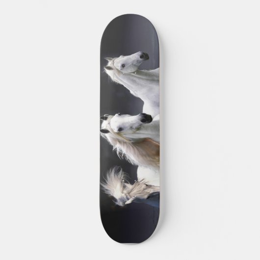 Skateboard Chevaux à lancer l'oreiller (Recto)