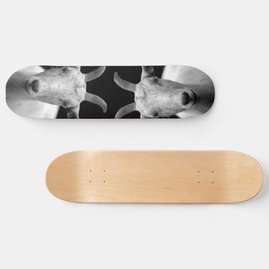 Skateboard Chèvre (Horz)