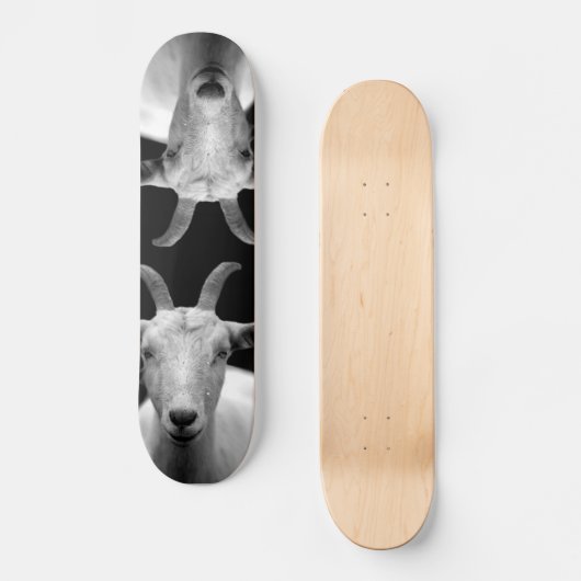 Skateboard Chèvre (Recto)