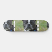 Skateboard Chien classique de Boston Terrier (Horz)