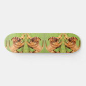Skateboard Chien fou (Horz)