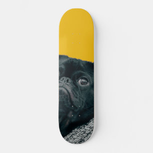 Skateboard chien jaune