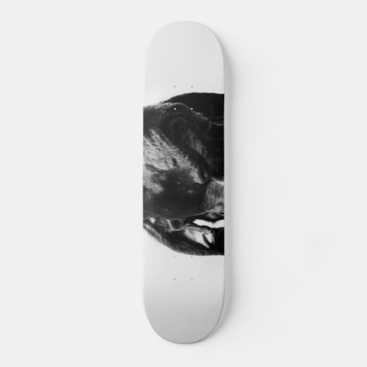 Skateboard chien royal bw (Recto)