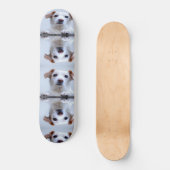 Skateboard Chiens mignons (Recto)