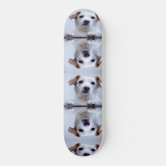 Skateboard Chiens mignons (Recto)