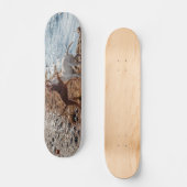 Skateboard Chiens sur la plage (Recto)