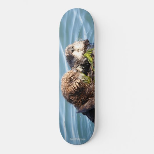 Skateboard Chiot et mère de loutre avec le varech (Recto)