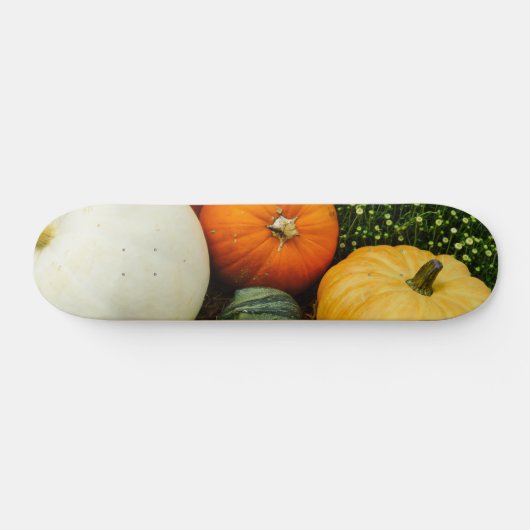 Skateboard Citrouille Et Gourdes (Horz)