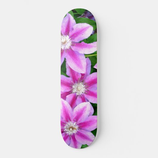 Skateboard Clematis, fleurs roses (Recto)