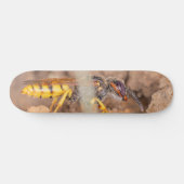 Skateboard Close-up photograph of a wasp (Horz)