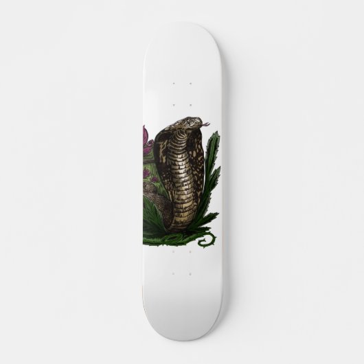 Skateboard Cobra (Devant)
