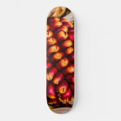 Skateboard Cobs de maïs (Recto)