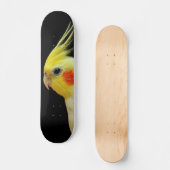 Skateboard Cockatiel de Lutino (Recto)