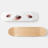 Skateboard Cockroach (Horz)