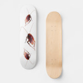 Skateboard Cockroach (Recto)