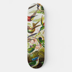 Skateboard Colibri vintage par Ernst Haeckel