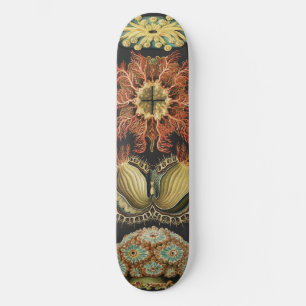 Skateboard Collage d'art de la vie marine nautique d'Ernst Ha