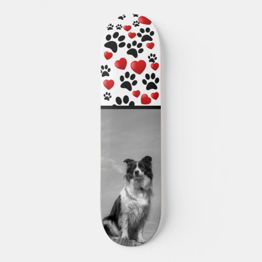 Skateboard Collie (Recto)