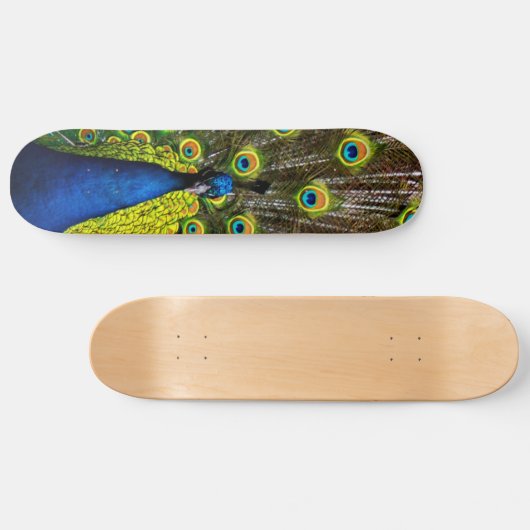 Skateboard Colorful peacock (Horz)