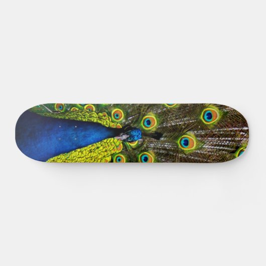 Skateboard Colorful peacock (Horz)
