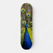 Skateboard Colorful peacock (Recto)