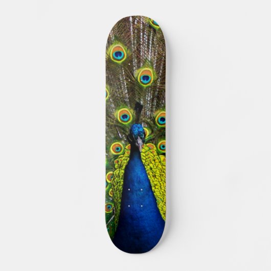 Skateboard Colorful peacock (Recto)