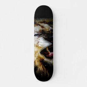 Skateboard Conception du pont de planche à roulettes