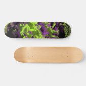 SKATEBOARD CONSEIL D'ADMINISTRATION (Horz)